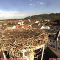 09_35-nest.jpg