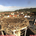 09_40-nest.jpg