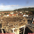 09_45-nest.jpg