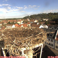 09_50-nest.jpg