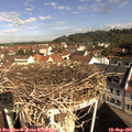09_55-nest.jpg