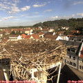 10_00-nest.jpg
