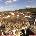10_05-nest.jpg