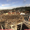 10_10-nest.jpg