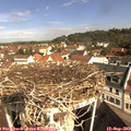 10_15-nest.jpg