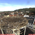 10_25-nest.jpg