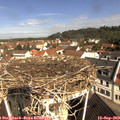 10_30-nest.jpg