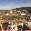 10_35-nest.jpg