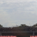 10_40-mast.jpg