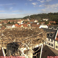 10_45-nest.jpg