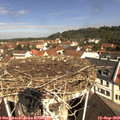 10_55-nest.jpg