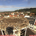 11_00-nest.jpg