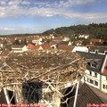 11_10-nest.jpg
