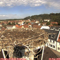 11_15-nest.jpg