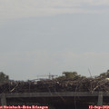 11_20-mast.jpg