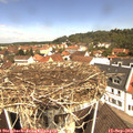 11_30-nest.jpg