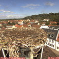 11_40-nest.jpg