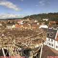 11_50-nest.jpg