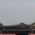 11_55-mast.jpg
