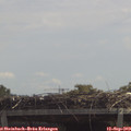 12_15-mast.jpg