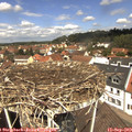 12_15-nest.jpg