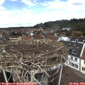 12_20-nest.jpg