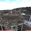 12_25-nest.jpg