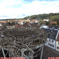 12_30-nest.jpg