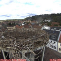 12_35-nest.jpg