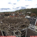 12_40-nest.jpg