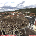 12_45-nest.jpg