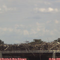 12_50-mast.jpg