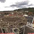 12_55-nest.jpg