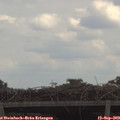 13_00-mast.jpg