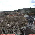 13_05-nest.jpg