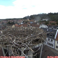 13_10-nest.jpg