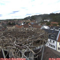 13_20-nest.jpg