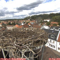13_25-nest.jpg