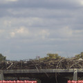 13_30-mast.jpg
