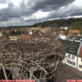 13_30-nest.jpg