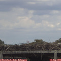 13_35-mast.jpg