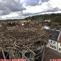 13_35-nest.jpg