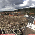 13_40-nest.jpg