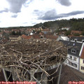 13_45-nest.jpg