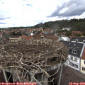 13_55-nest.jpg
