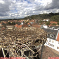 14_00-nest.jpg