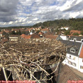 14_05-nest.jpg
