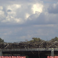 14_10-mast.jpg
