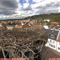 14_10-nest.jpg