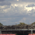 14_15-mast.jpg